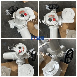 6000Nm電動執行器帶蝸輪減速機QDX3-7